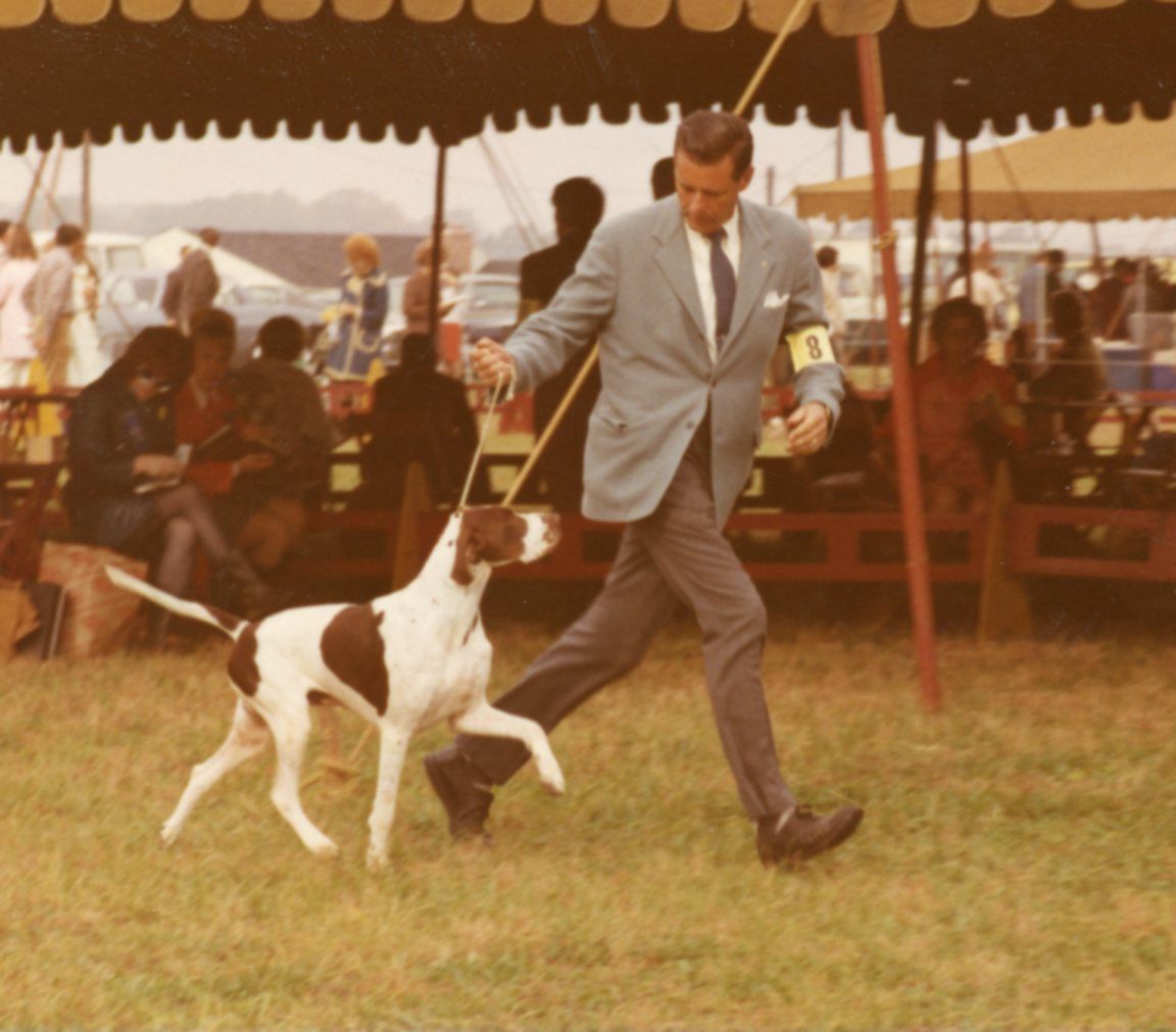 Pointers, Then and Now ... 